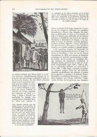 LAMINA 26007: Esclavitud