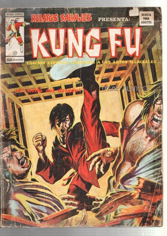 Vertice: Artes Marciales-Kung Fu numero 20