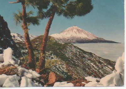 Postal E04025: Vista del Teide nevado, Tenerife