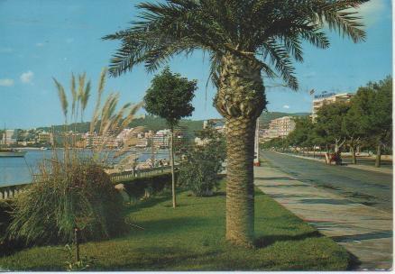 Postal E03979: Paseo Maritimo, Palma de Mallorca
