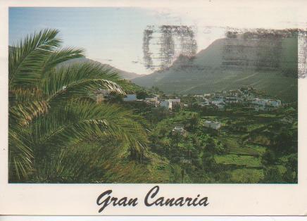Postal E03981: Fotaga, Gran Canaria