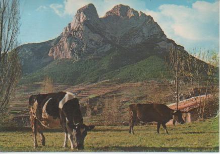 Postal E04093: Pedraforca-Saldes, Alt Bergueda