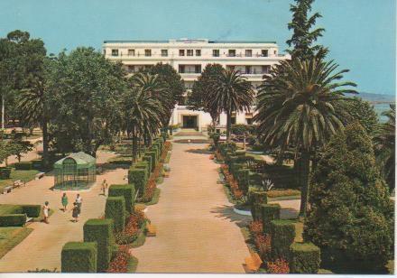 Postal E03716: Jardines y Gran Hotel, La Toja