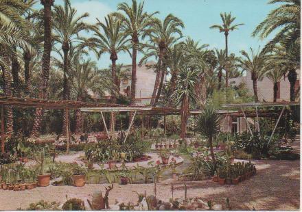 Postal E03726: Viveros-Huerto del Cura,Elche