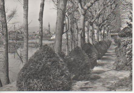 Postal E03849: Postal B/N Vista de Manlleu