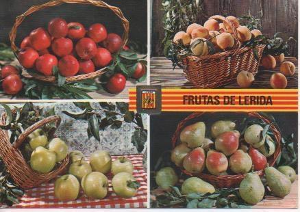 Postal E03840: Fruites de Lleida