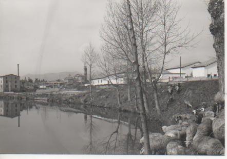 Postal E03848: Postal B/N Vista parcial y Río Ter, Manlleu