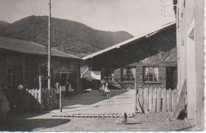 Postal E04538: Colonie "Joyeuse Vacances"-Montaillou, ariège