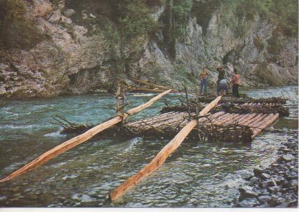 Postal E04517: Almadía en el río Ezka,Burgui, V. Roncal, Nav