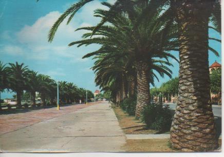 Postal E04361: Paseo de Jaime el Conquistador. Salou, Tarragona