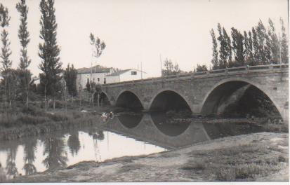 Postal E04227: Postal B/N Puente de Costana, Dala de los Infantes