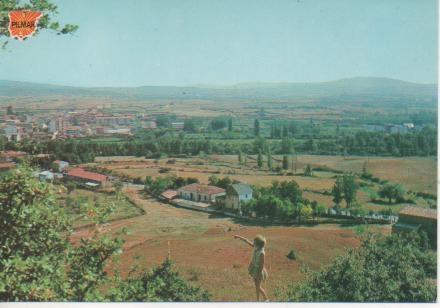 Postal E04261: Vista parcial. Sala de los Infantes, Burgos
