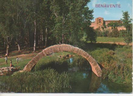 Postal E04262: Paisaje.Benavente, Zamora