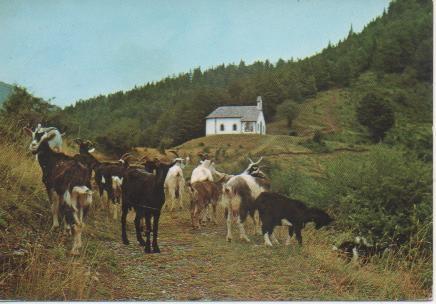 Postal E04462: Ermita de las Nieves.Ochagavia, Navarra