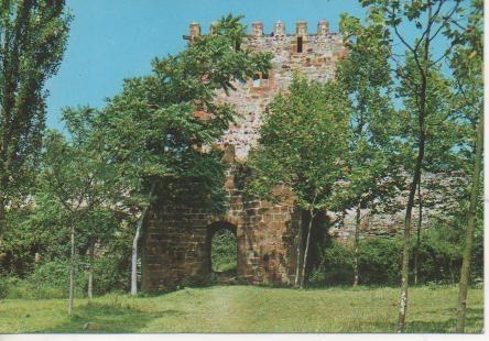 Postal E04488: Castillo de Muñatones. Musques, Vizcaya
