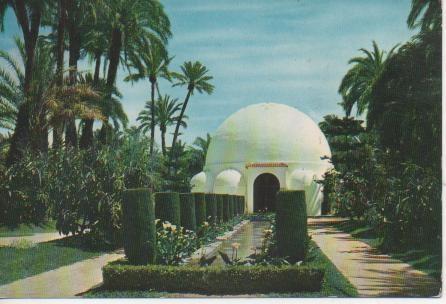 Postal E04420: Parque Municipal. Museo, Elche