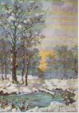 Postal E02619: Waldbach im Winter, M. Ki,Einhardt