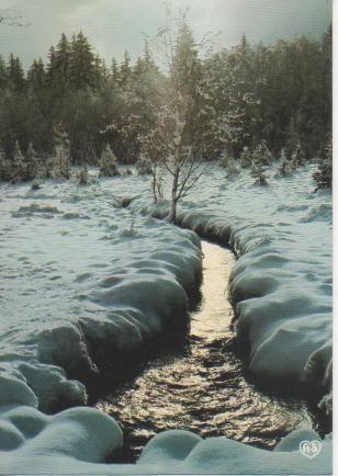 Postal E03504: Andorra L'Hivern