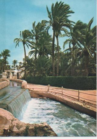 Postal E03413: Prque Municipal, Elche