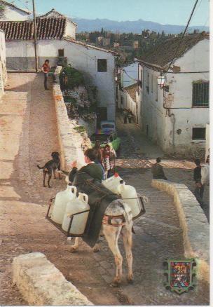 Postal E03419: Calle tipica de San Luis-Albacín, Granada