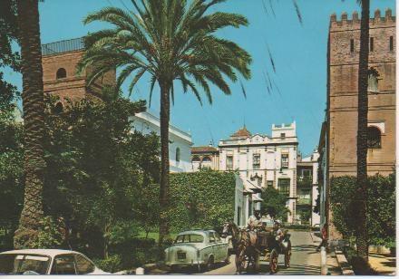 Postal E03608: Barrio de Santa Cruz, Sevilla