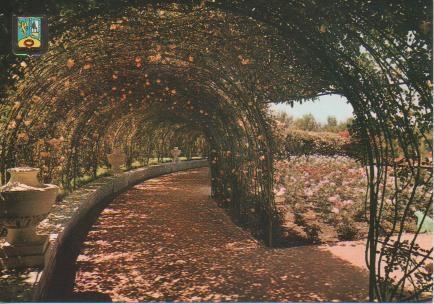 Postal E03624: Parque del Oeste. Rosaleda, Madrid