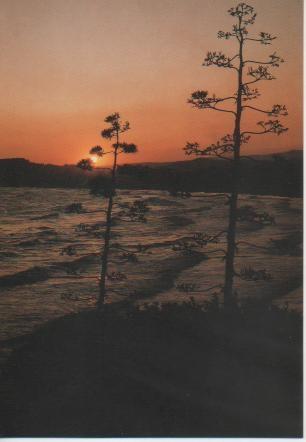 Postal E03533: Mare Nostrum, Altafulla