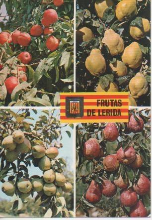 Postal E03520: Frutas de lerida