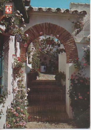 Postal E03549: Patio de la Calle Montero, Cordoba