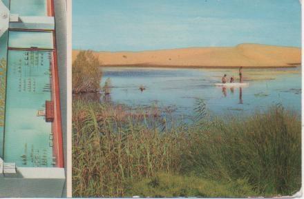 Postal E03567: Lago Silvestre Maspalomas, Costa Canaria