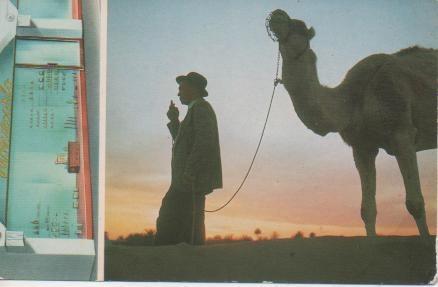 Postal E03566: Amanecer en Maspalomas, Costa Canaria