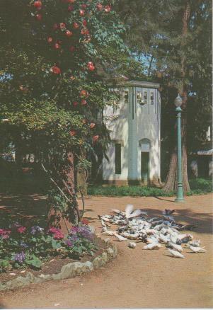 Postal E03562: arque de Castelar, Badajoz