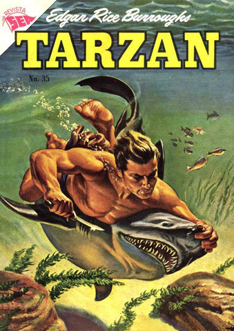 Poster DIN 4 numero 0670: Novaro: Tarzan cubierta numero 35