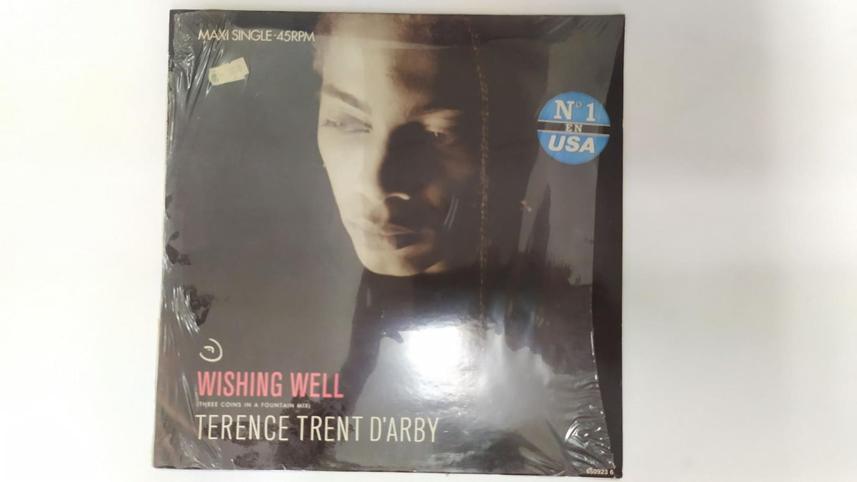 Disco Vinilo 45rpm: TERENCE TRENT D'ARBY - Wishing well