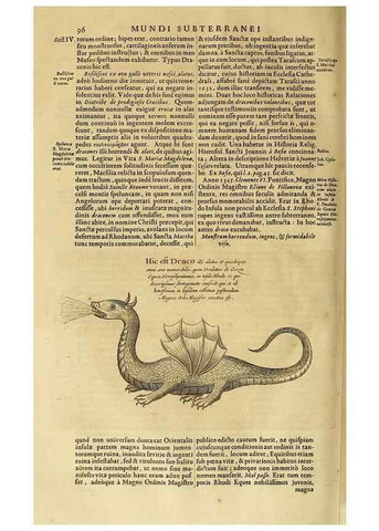 Reproducción/Reproduction 15048363454: Mundus subterraneus, in XII libros digestus :. Amstelodami :apud Joannem Janssonium à Waesberge & filios,1678.