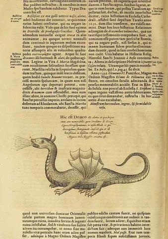 Reproducción/Reproduction 15048363454: Mundus subterraneus, in XII libros digestus :. Amstelodami :apud Joannem Janssonium à Waesberge & filios,1678.