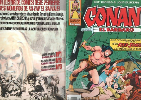 Planeta: Conan el barbaro numero 43: La maldicion del no muerto