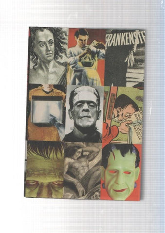 Frankenstein. A cultural history