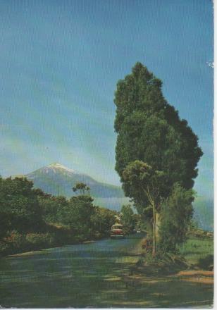 Postal E05341: Carretera del Norte, Tenerife