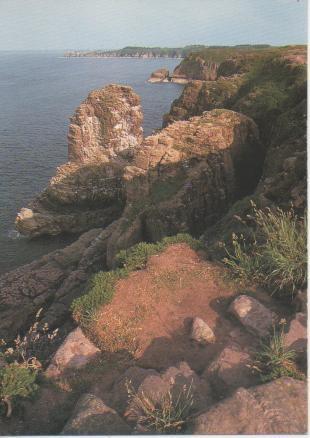 Postal E05312: La côte Est du Cap et le roche de la Fauconniere, Le Cap Frehel