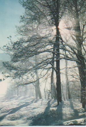Postal E05317: Contre-Jour sur la Neige
