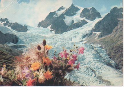Postal E05375: Ghiacciaio della Lex Blanche e l?aguille de Telatête, Courmayeur-Val Veny