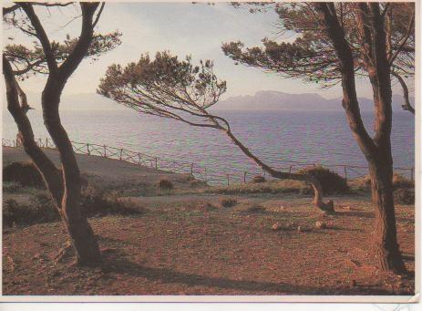 Postal E05222: Mara Mediterraneo