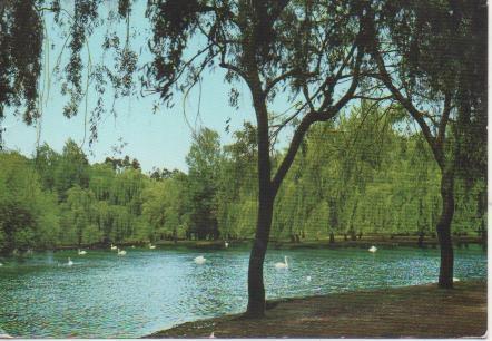 Postal E05297: Parque de Isabel la Catolica, Gijón