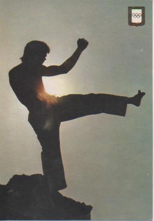 Postal E05570: Serie Karate, Yoko-Geri