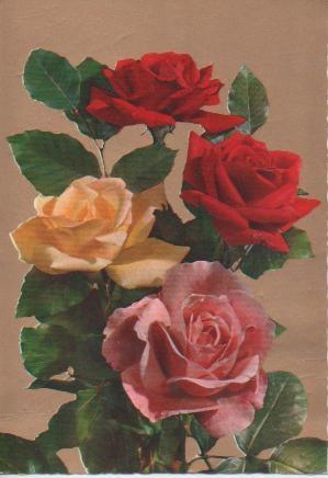 Postal E05599: Postal troquelada de Rosas
