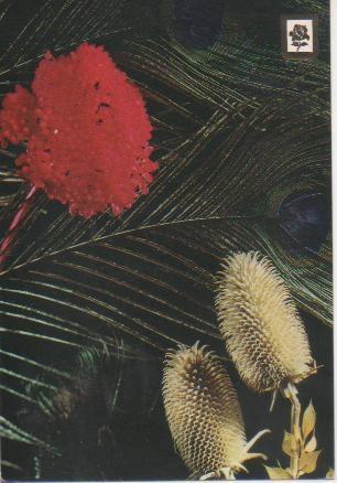 Postal E05580: Adorno floral
