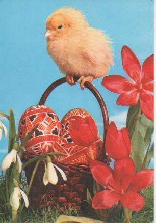 Postal E05587: Adorno huevos de pascua
