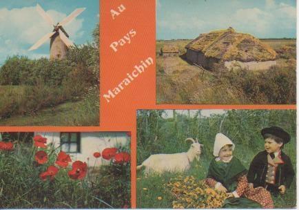 Postal E05459: La Vendee Touristique, L Marais
