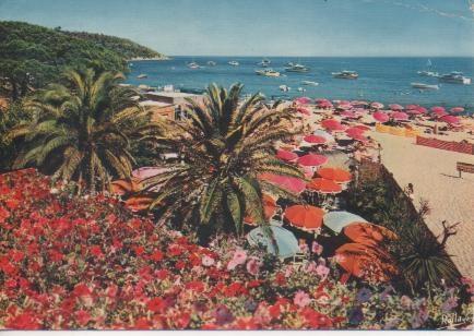 Postal E05433:Environs de Saint-Tropez Pampelonne